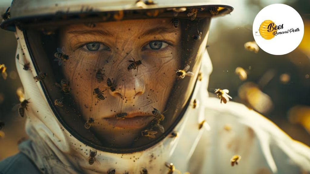 Why Professional Bee Removal Services in Perth Are Crucial